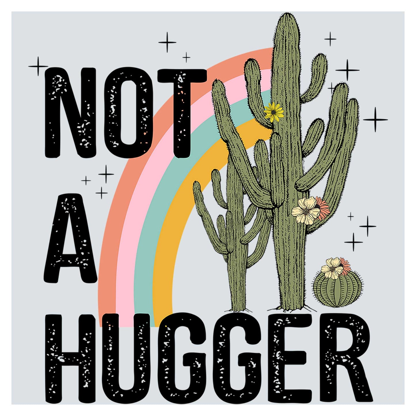 a cactus with a rainbow in the background