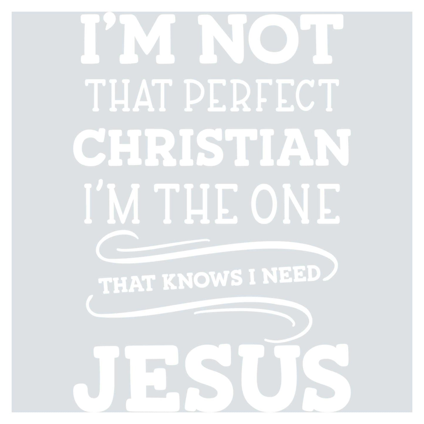 i'm not that perfect christian i'm the one that knows i need