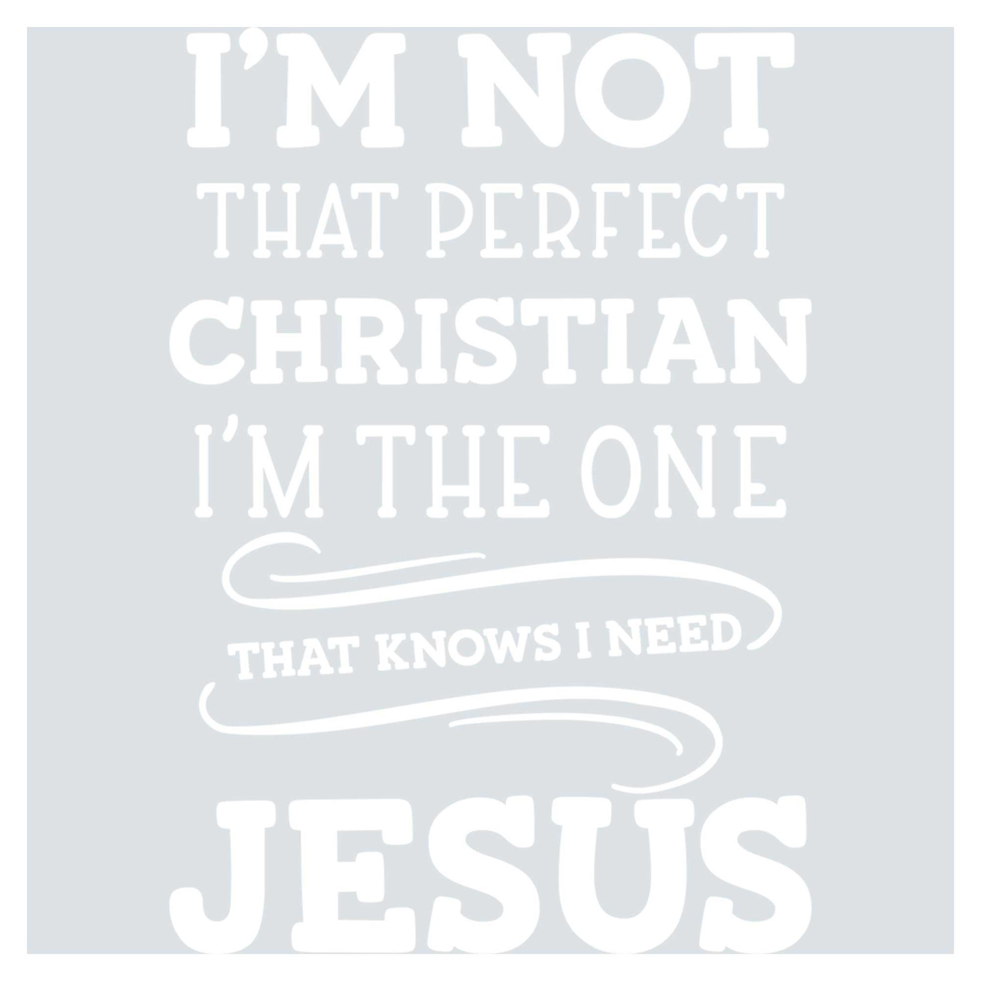 i'm not that perfect christian i'm the one that knows i need