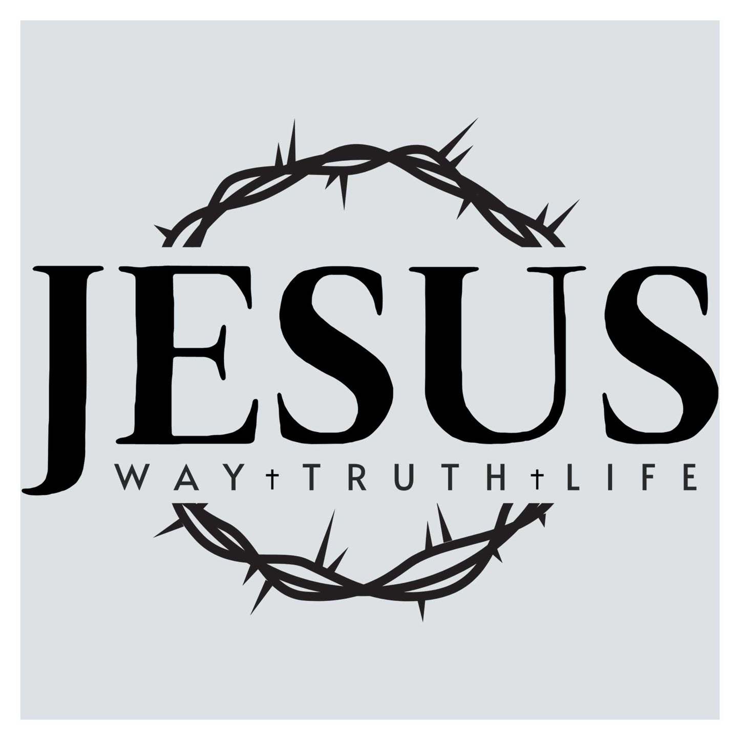 jesus's way truth life