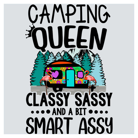 a camper van with flamingos on it and the words camping queen classy