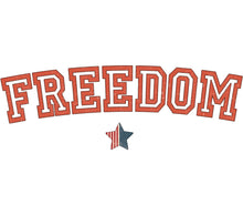 Vintage Freedom Text Banner, Patriotic 4th of July Decor, Red and White Rustic Wall Art, American Flag Star Design