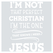i'm not that perfect christian i'm the one that knows i need